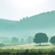 d75_3191-edit